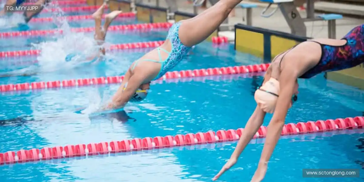 🎯精准数据，深度解析赛事背后的故事！